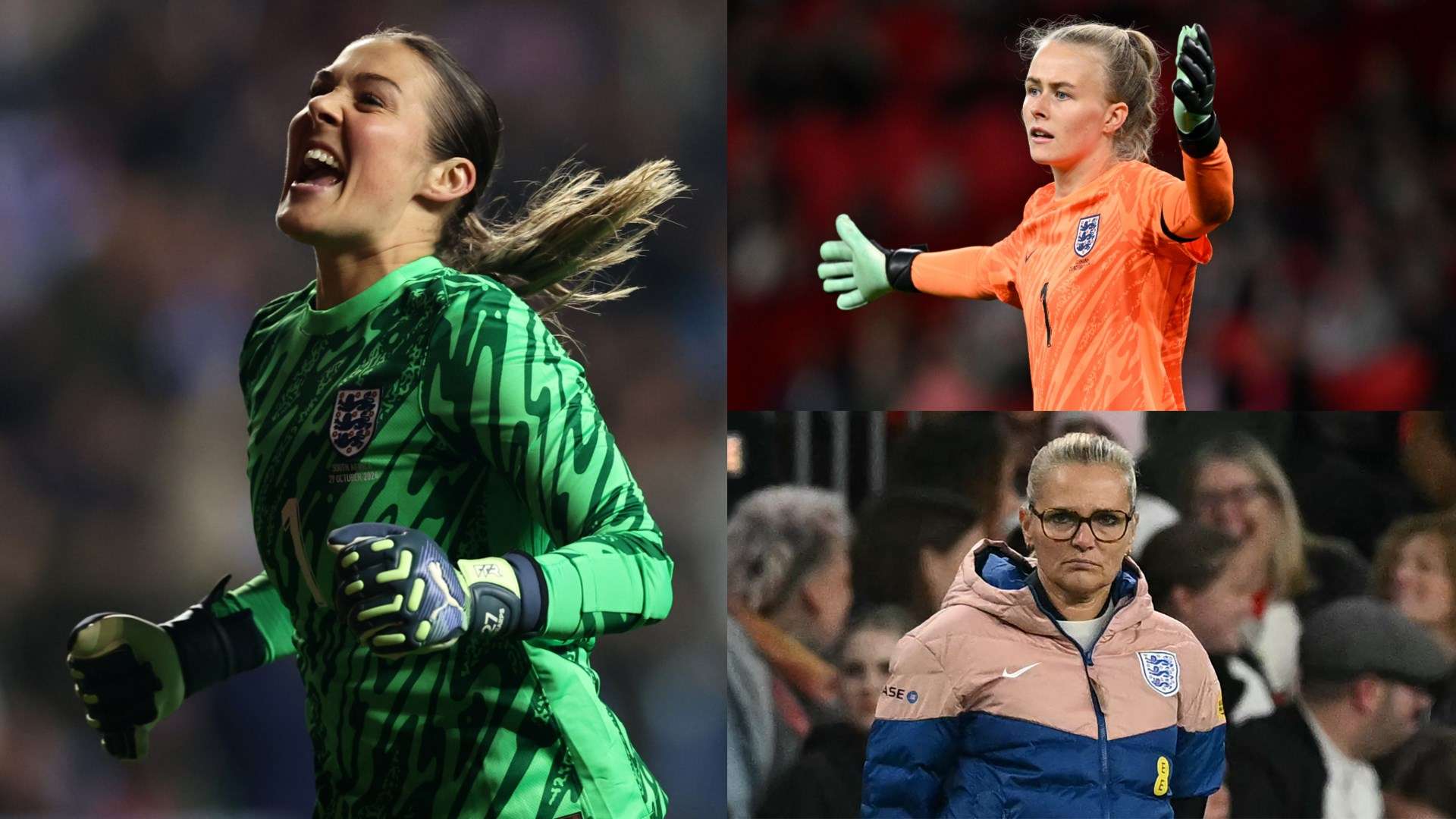 这一决定或 这一决定或