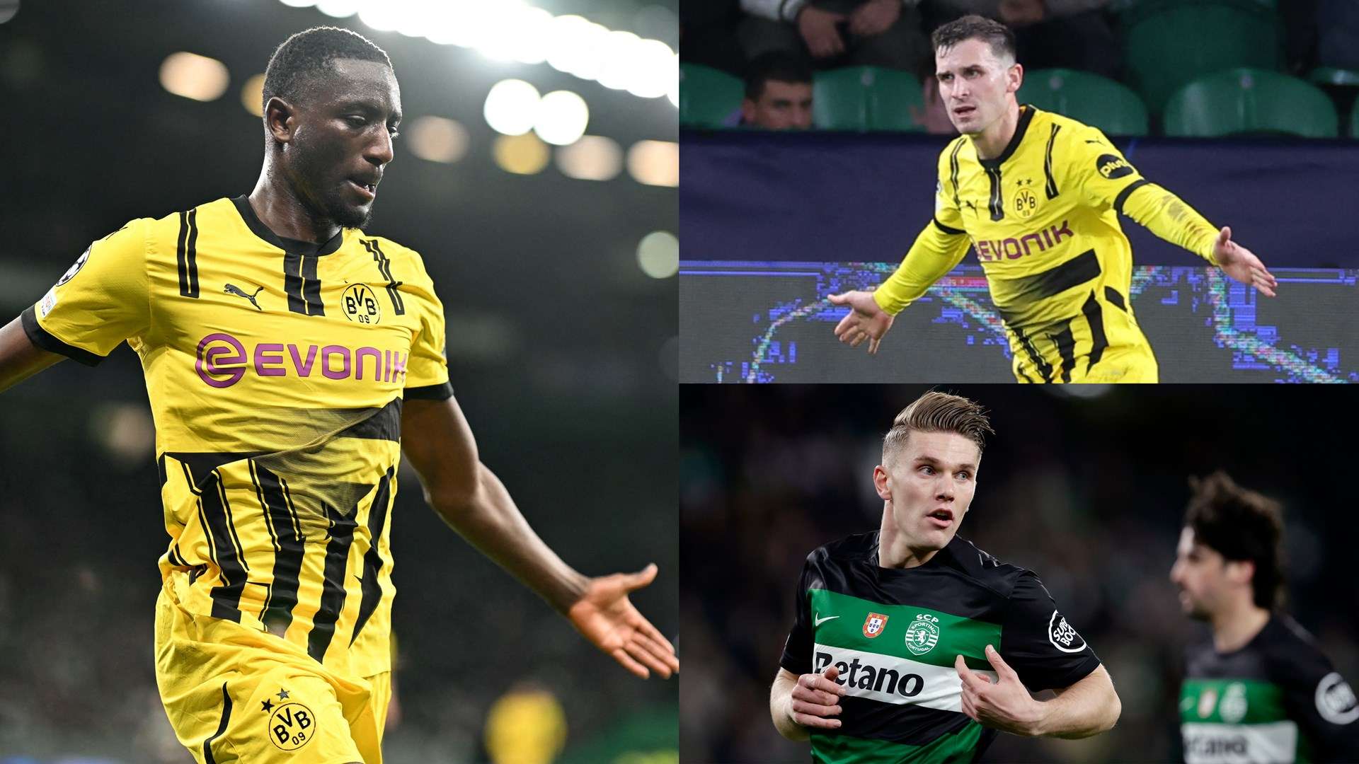 赖库里的个 赖库里的个